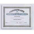 Stock "Special Award" Natural Parchment Certificate